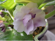 ����������� viber 2024-02-27 12-04-10-972.jpg