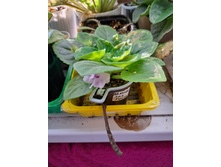 ����������� viber 2024-02-27 12-04-10-548.jpg