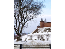 IMG 20240302 155506.jpg