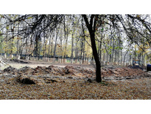 IMG 20201010 110954.jpg