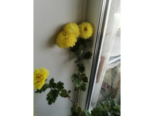 IMG 20231105 122007.jpg