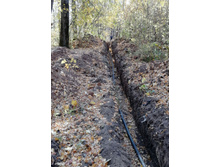 IMG 20201010 112946.jpg