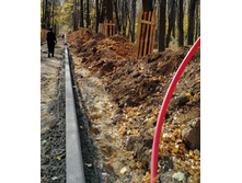 IMG 20201010 113646.jpg