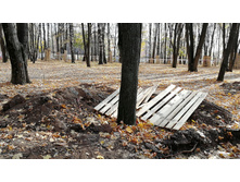 IMG 20201010 113618.jpg