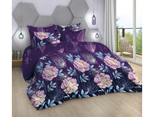 ����� ���� 220 ��