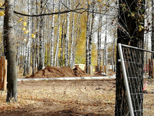 IMG 20201010 113201.jpg