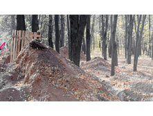 IMG 20201010 113717.jpg