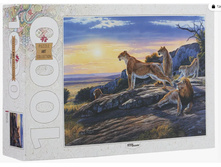 ���� 1000 ����� ������ 79111 205�