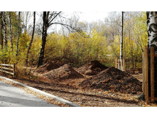 IMG 20201010 112858.jpg