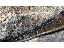 IMG 20201010 112942.jpg