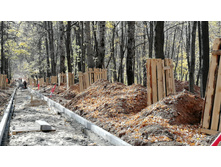 IMG 20201010 113729.jpg