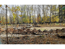 IMG 20201010 110934.jpg