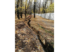 IMG 20201010 113340.jpg