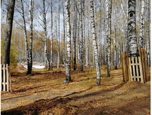 IMG 20201010 112918.jpg