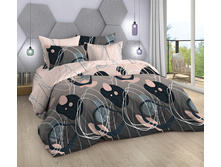 ������ ���� 220 ��