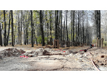 IMG 20201010 112131.jpg