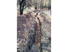 IMG 20201010 113312.jpg