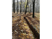 IMG 20201010 112259.jpg