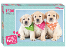 ���� 1500 ����� 83300 265�