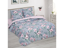 ������ ������ 220 �� ������+���������