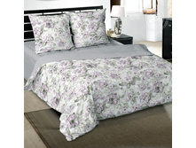 ��������� ���� 220 �� ������+���������