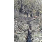 IMG 20201010 113248.jpg