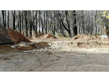 IMG 20201010 113951.jpg