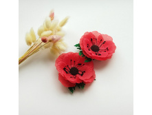 ���� � �������