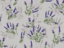 �������� ������� 220 ��