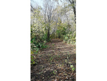 IMG 20201010 111011.jpg