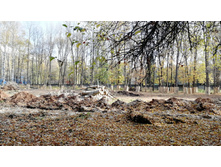 IMG 20201010 110947.jpg