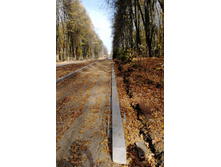 IMG 20201010 112704.jpg