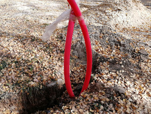 IMG 20201010 112635.jpg