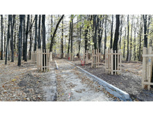 IMG 20201010 112102.jpg