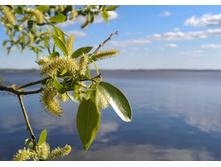 IMG 20240503 164120.jpg