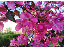 IMG 20240518 182802.jpg