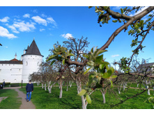 IMG 20240503 160848.jpg