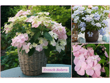 ��������� ��������� ����� ������ � �3 1800 ���