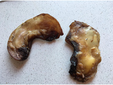 ���� �������