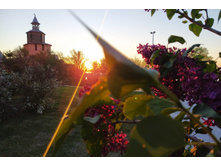 IMG 20240522 200414.jpg