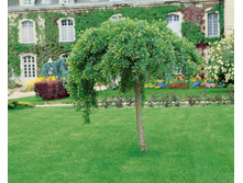 �������� (������) ������, �20, 120-140, 5721 ���