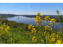 IMG 20240519 125243.jpg