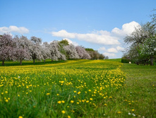 ��������� ������ ���� +24�