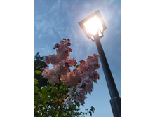 IMG 20240529 204157.jpg