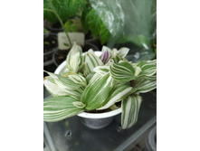 ������������