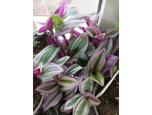 ������������