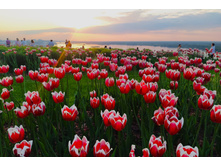 IMG 20240529 195431.jpg