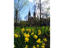 IMG 20240501 122604.jpg