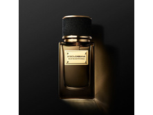 Dolce Gabbana velvet black patchouli � � 50 �� 8700+%+����  �� ������