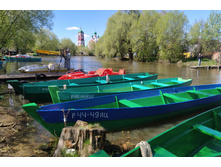 IMG 20240503 130115.jpg